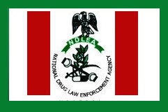 Image result for NDLEA