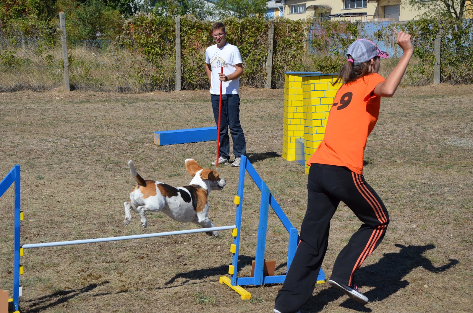 DSC_0341.JPG