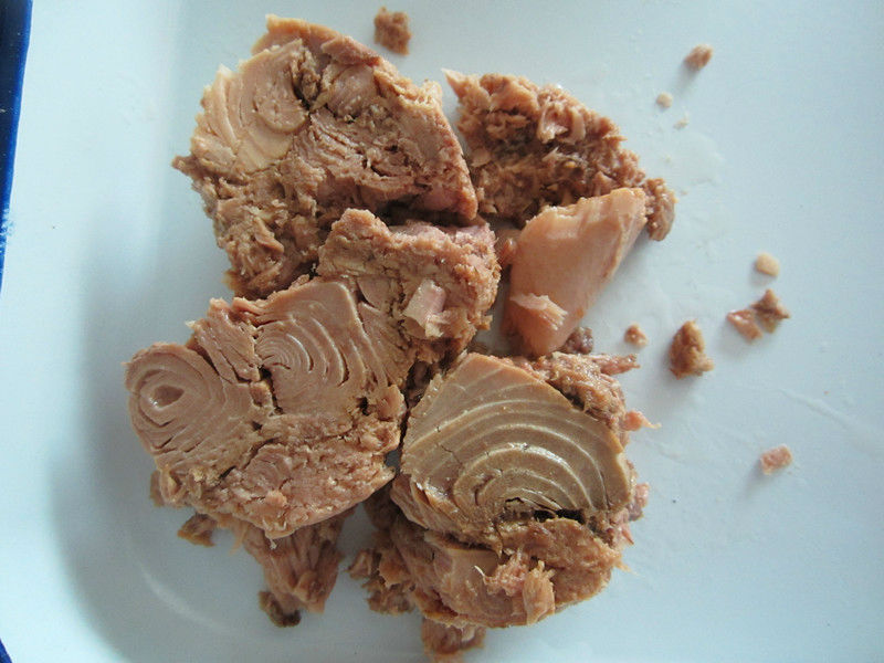 Tuna in Brine vs Tuna in Oils and Springwater Tuna Skipjack Frozen