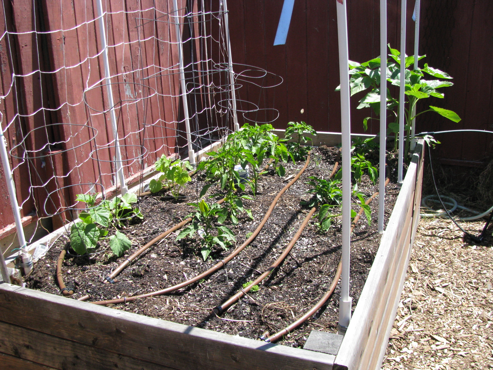 Landscape Redo Garden with raised beds and fabric pots