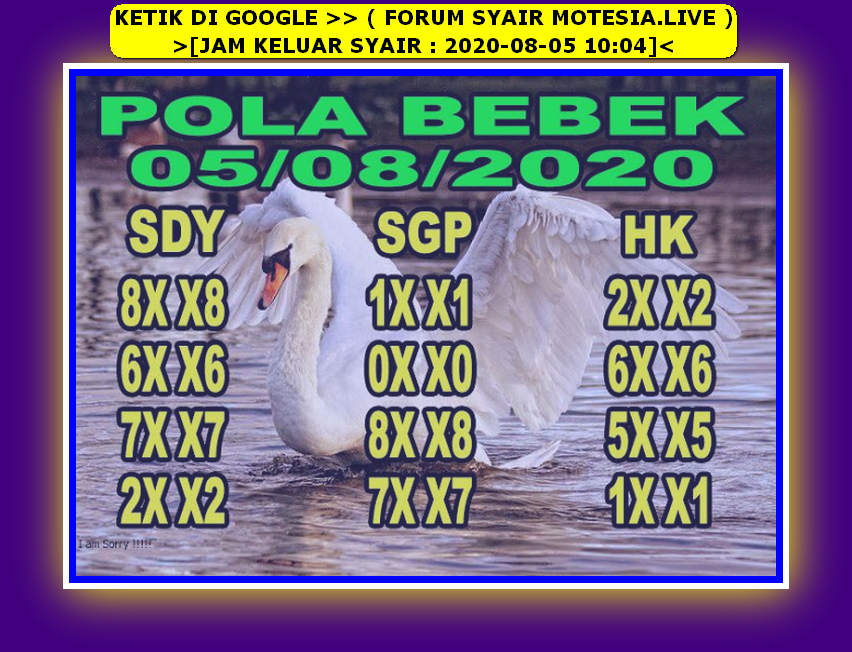 PREDIKSI SYDNEY COJEEL