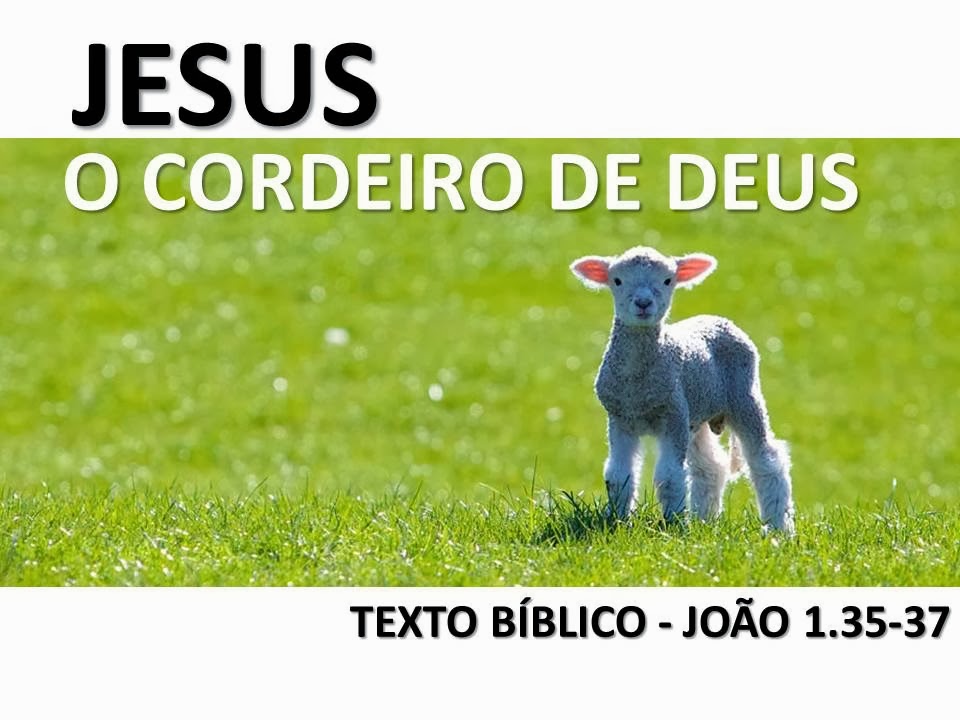 MENSAGEM JESUS, O CORDEIRO DE DEUS PASTOR DANIEL DUTRA