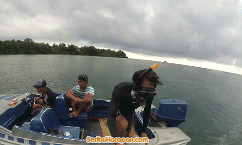 Snorkeling di Pulau Harapan