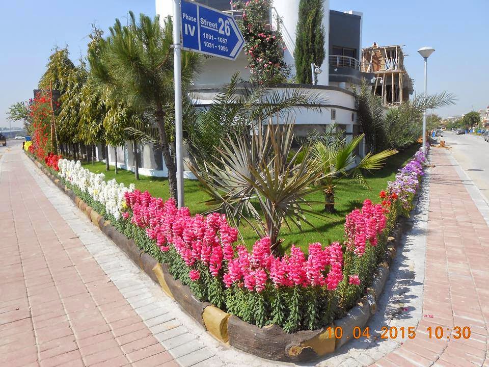 BAHRIA NEWS Flower Decoration & Plantation in Bahria Town Rawalpindi