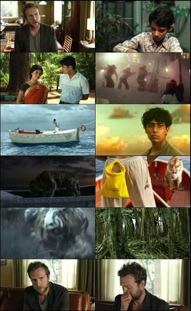 300mbmovies