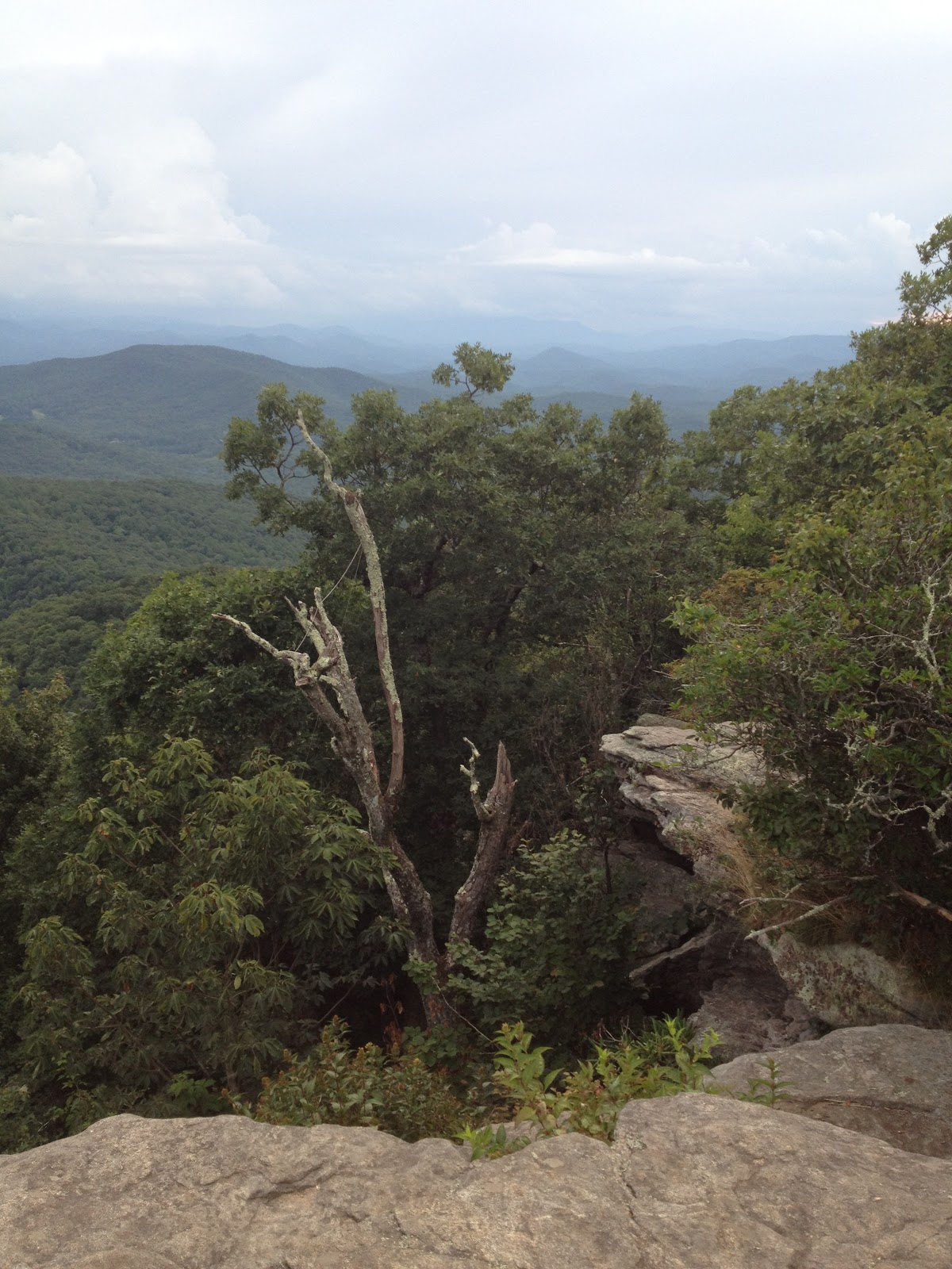 Woody Gap to Tesnatee Gap A Photo Essay