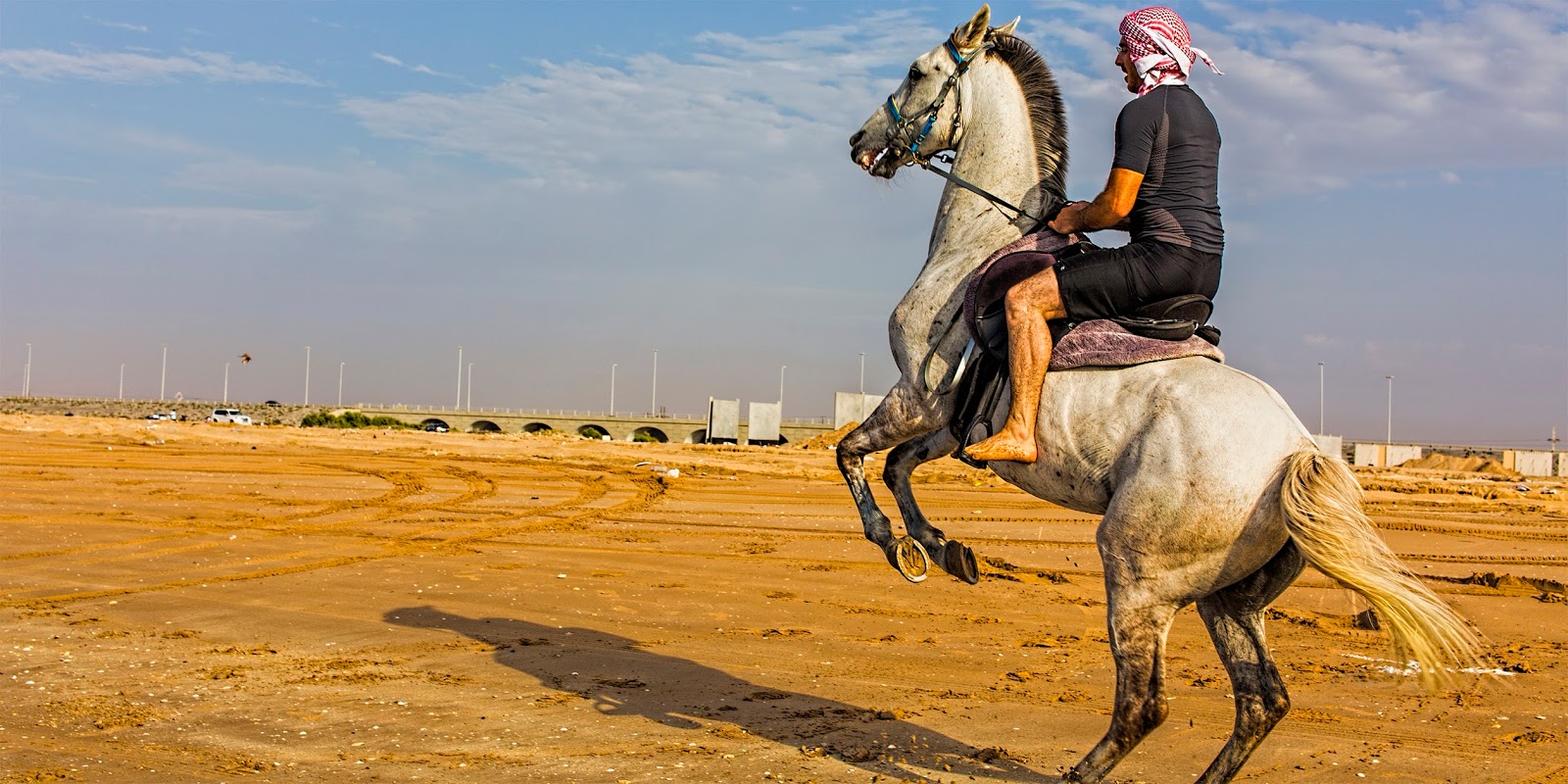 Horse Riding in Dubai I Love Horse Riding in Dubai