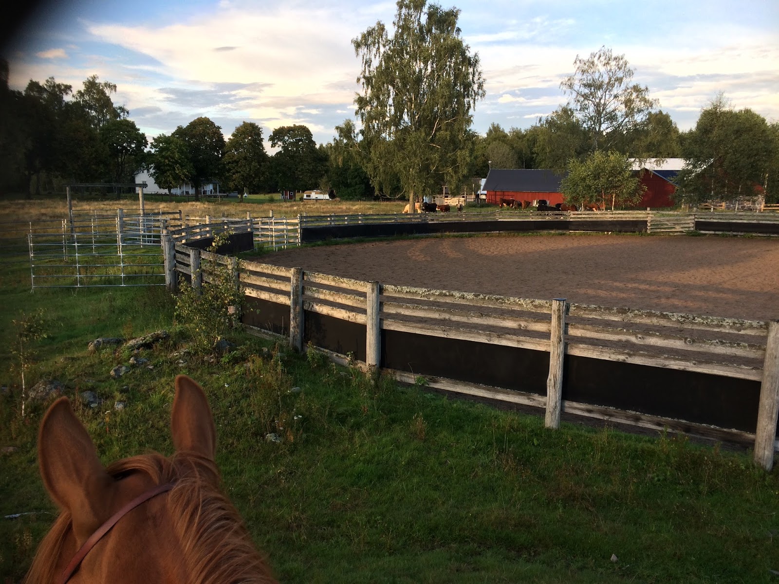 Välkommen till Open Heart Ranch!: På Ranchen