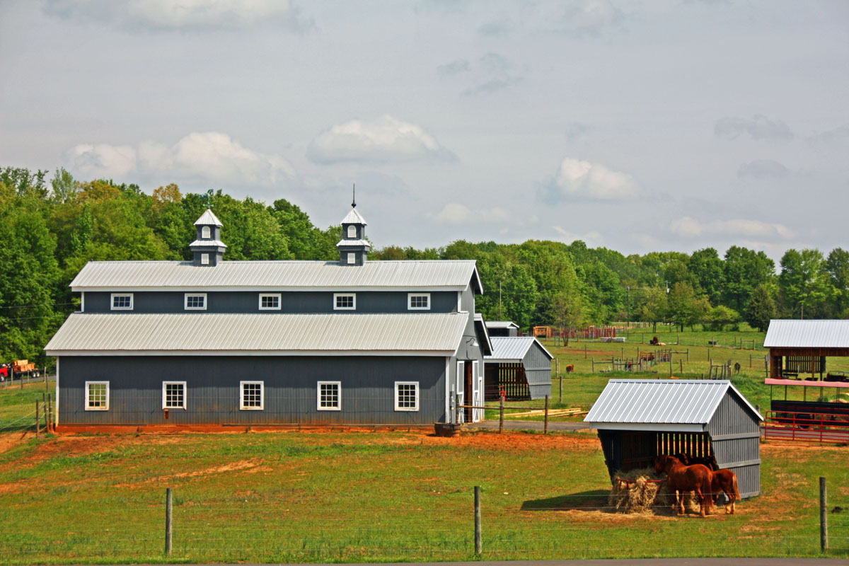 The Adventures of Bushwhack Jack Live Oak Farms
