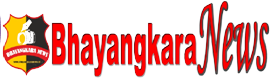 Bhayangkara News ID