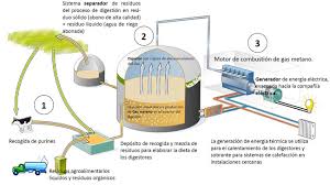 biogas elaborado