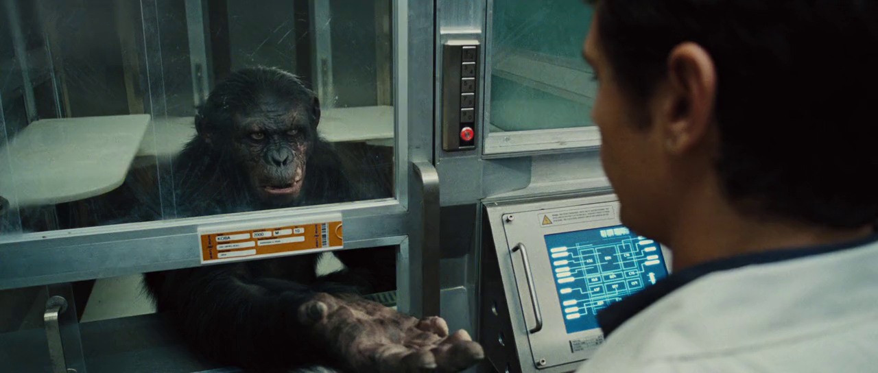 планета обезьян восстание 2011. восстание планеты обезьян 2011.