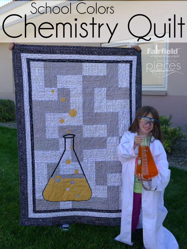 Pieces by Polly Simple Chemistry Quilt
