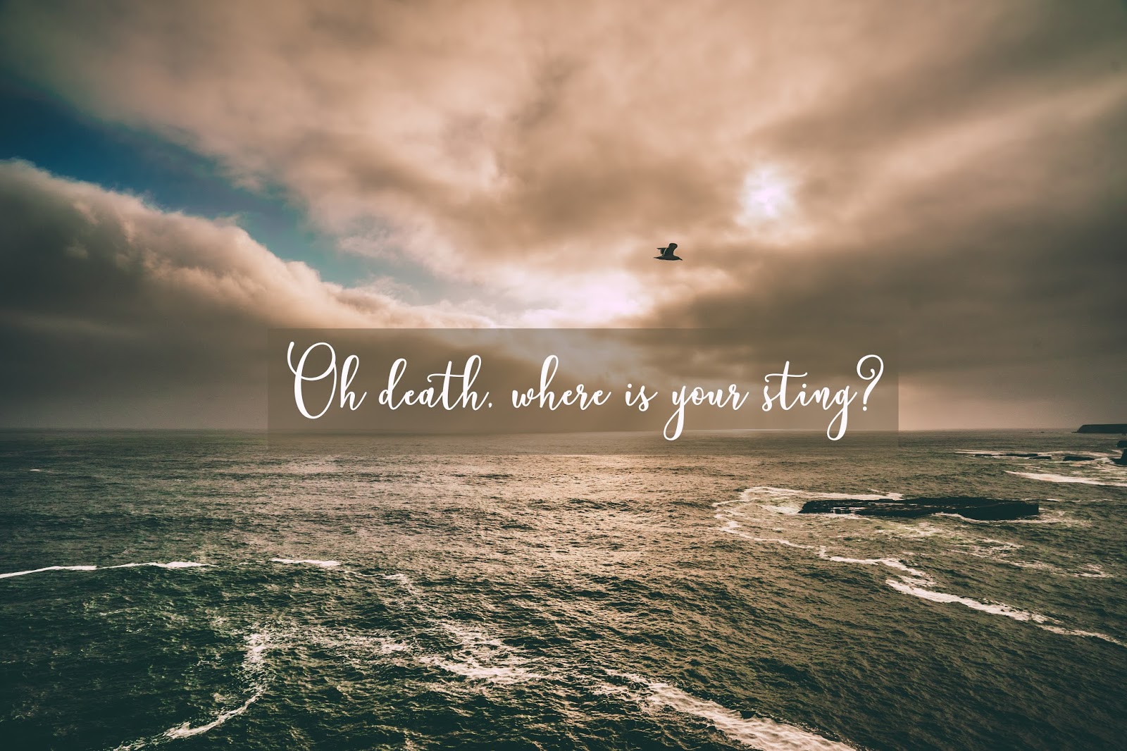 Oh Death, Where is your Sting? The Backyard Missionary