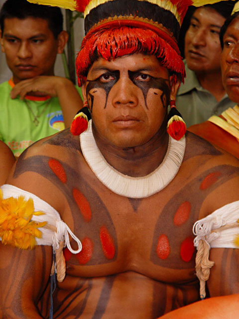 Indigenous body painting is highly developed among the Xingu native tribes