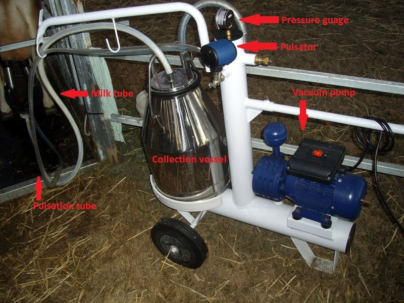 house cow ebook: how to choose a milking machine
