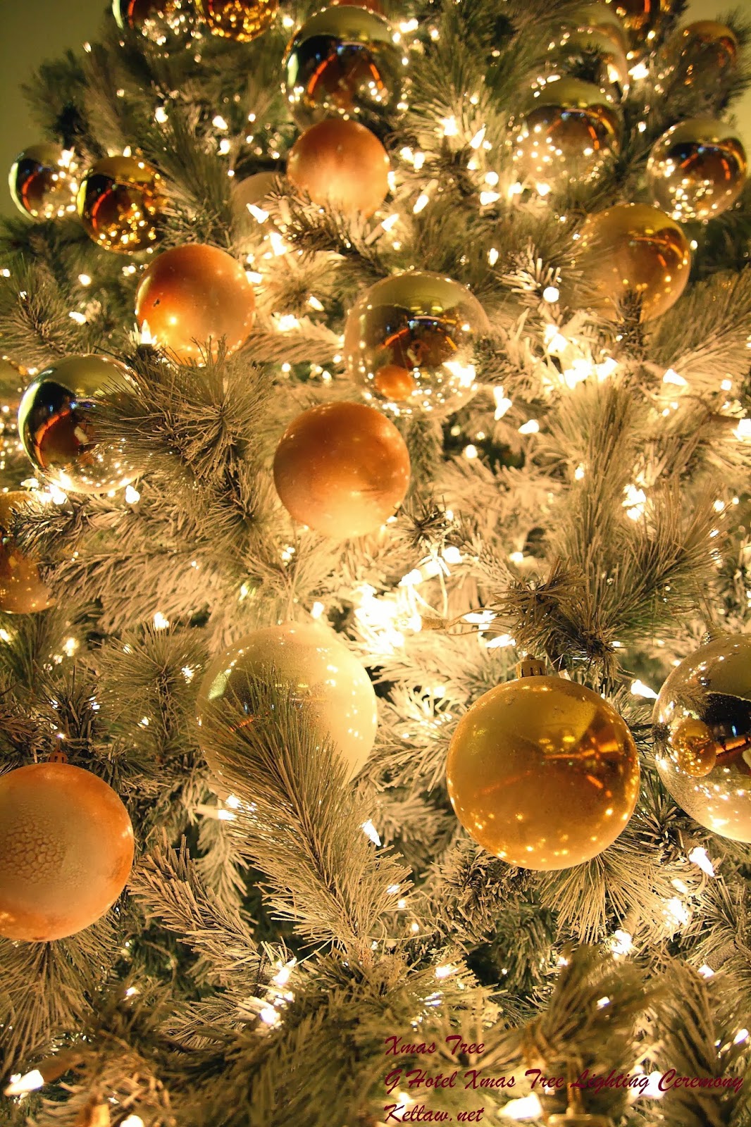 G Hotel Christmas Tree Lighting Ceremony