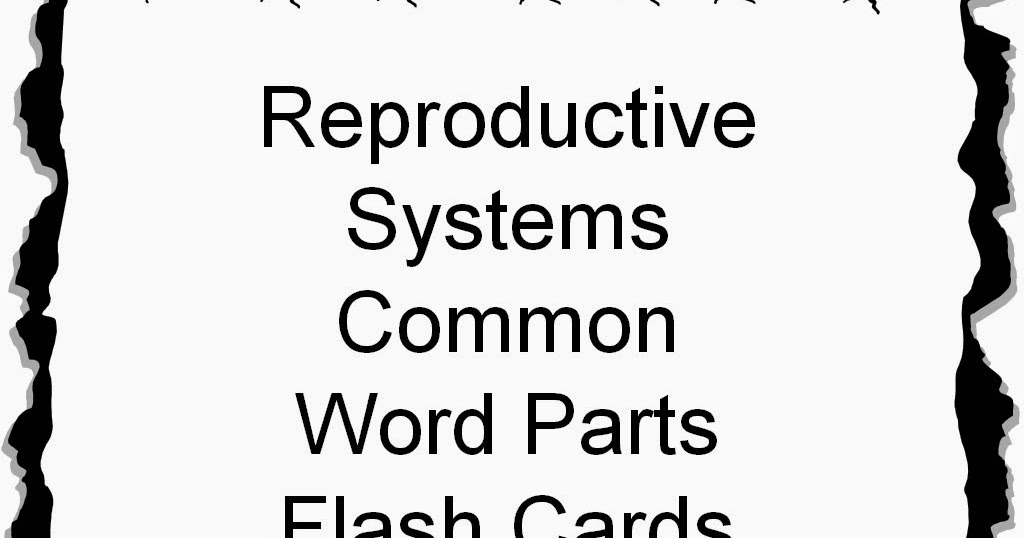 Student Survive 2 Thrive Reproductive Systems Common Word Parts Flash