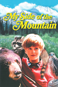 My Side of the Mountain Poster