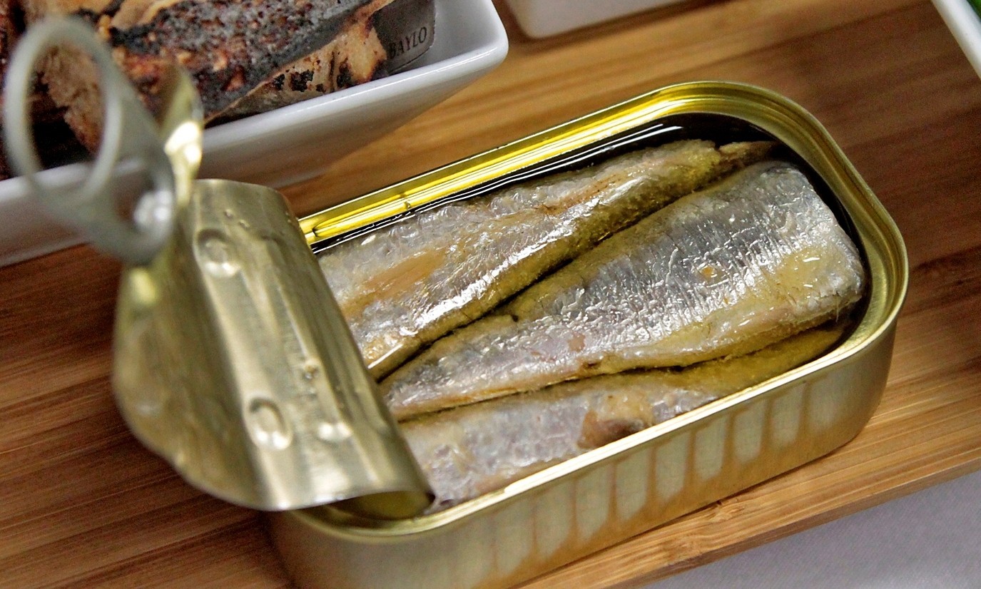 Sardine Fish Indonesia and Reasons of Why You Need to Eat It Fresh