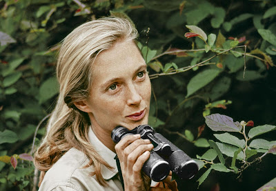 Jane Goodall