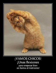 miercoles divertidas imagenes ya frases todo muro frase puedes nueva esta tu