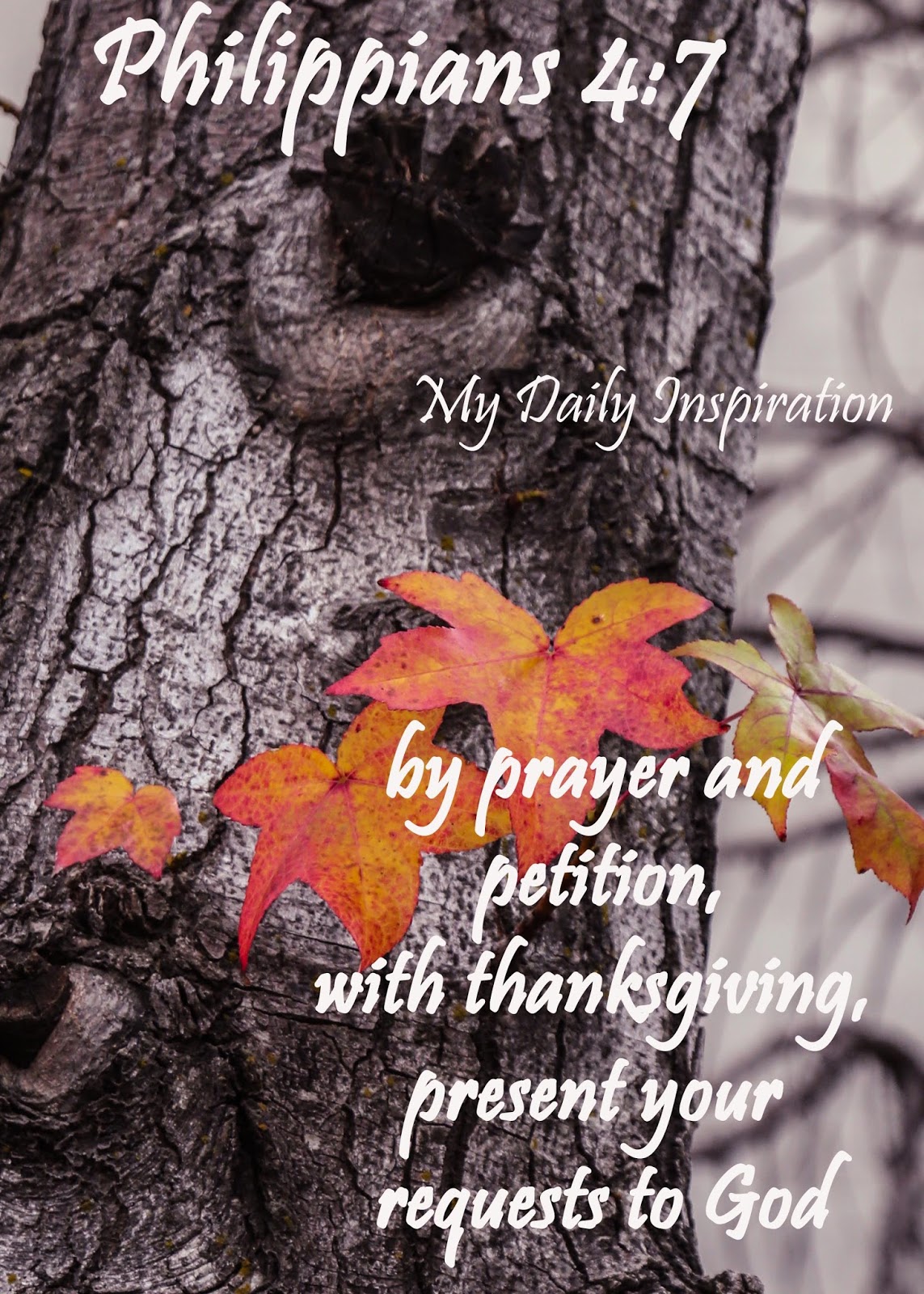 Places open for breakfast on thanksgiving denver g