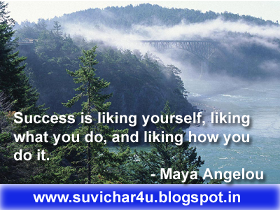 Success is liking yourself, liking what you do, and liking how you do it. - Maya Angelou 