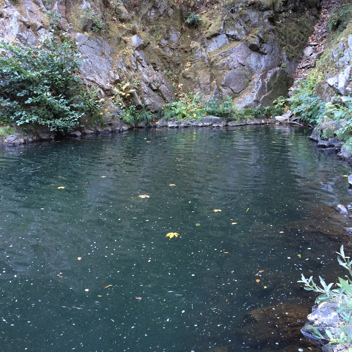Hiking Garden of Eden, Santa Cruz, United States | Willy's Outdoor