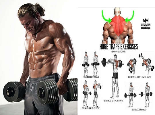 5 Day Traps Workout Images for Beginner