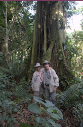 Trek in Bwindi Impenetrable Forest