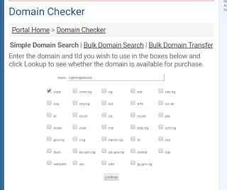 cheap domain names and hosting from domainking