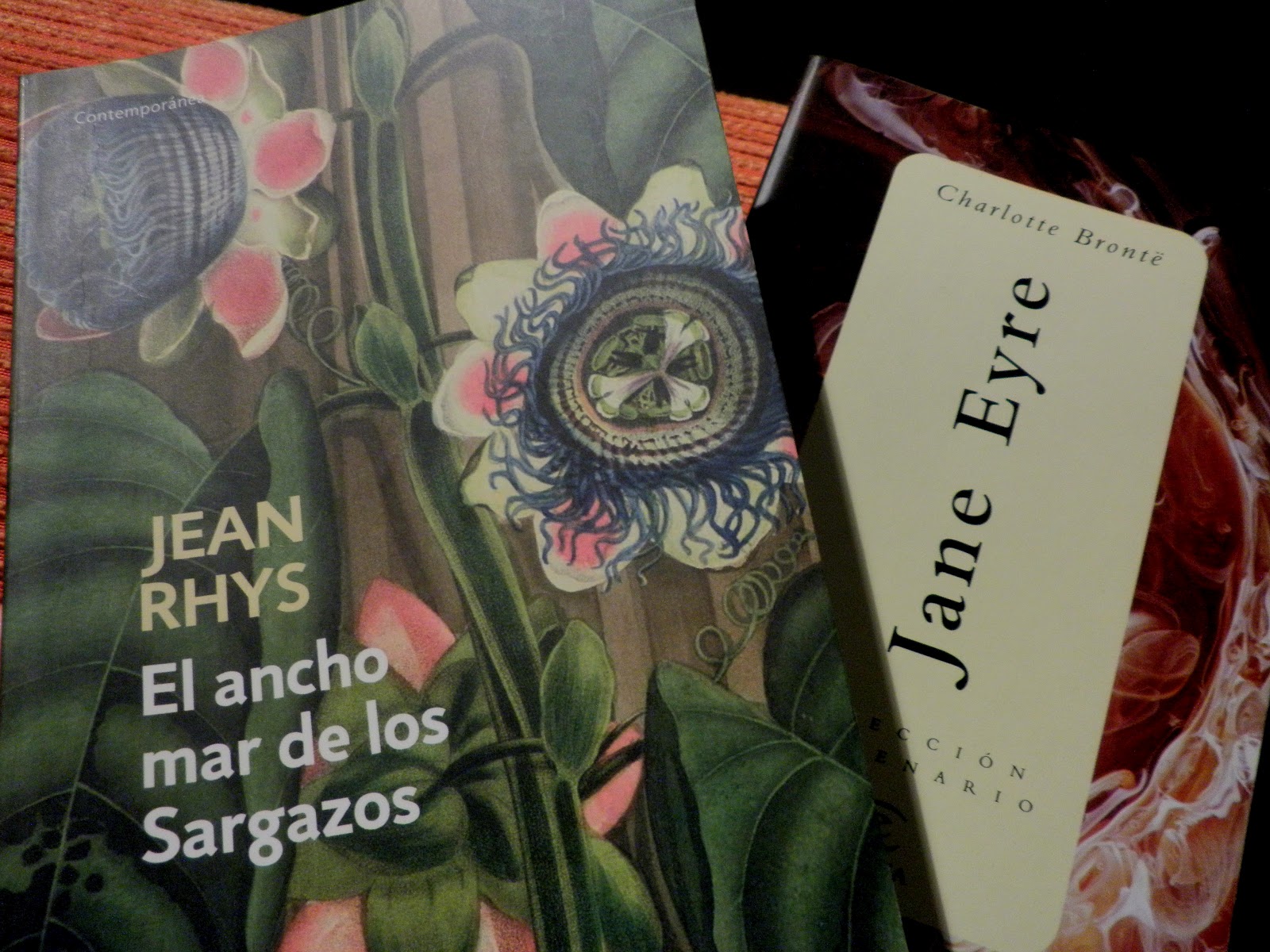el ancho mar de los sargazos