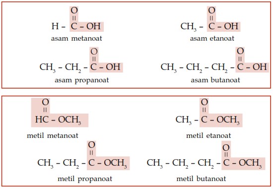Struktur Senyawa Karbon