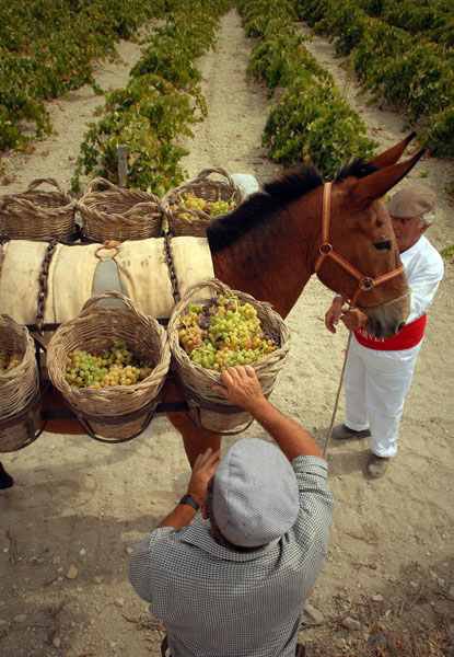 Σεπτέμβριος: λαογραφία - παροιμίες - ήθη - έθιμα - τραγούδια