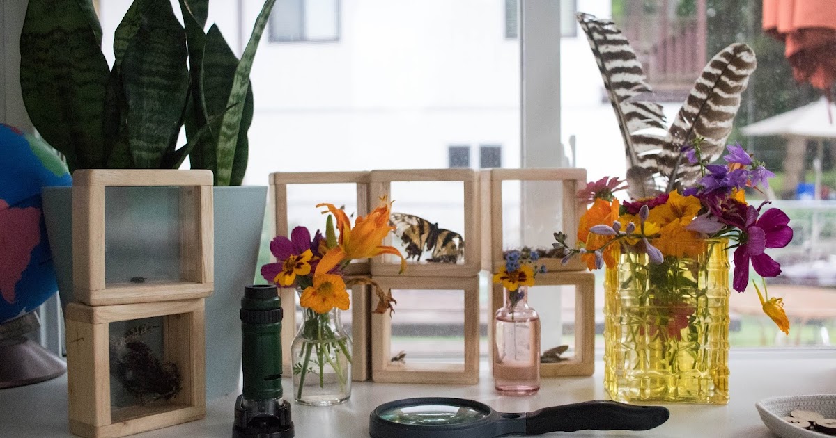 Summer Nature Collections in Our Montessori Home The Kavanaugh Report