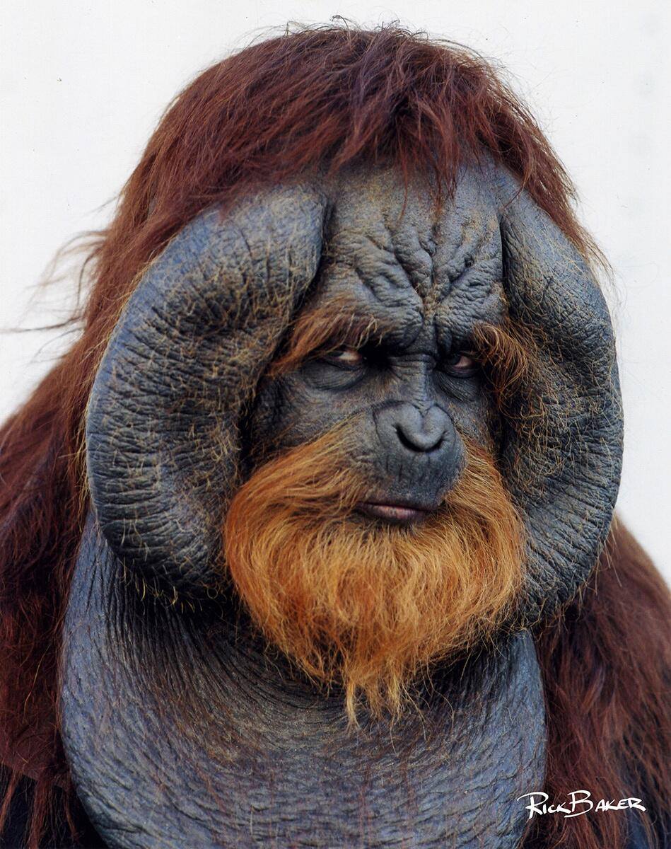 Archives Of The Apes Tim Burton S Planet Of The Apes 2001 Part 23