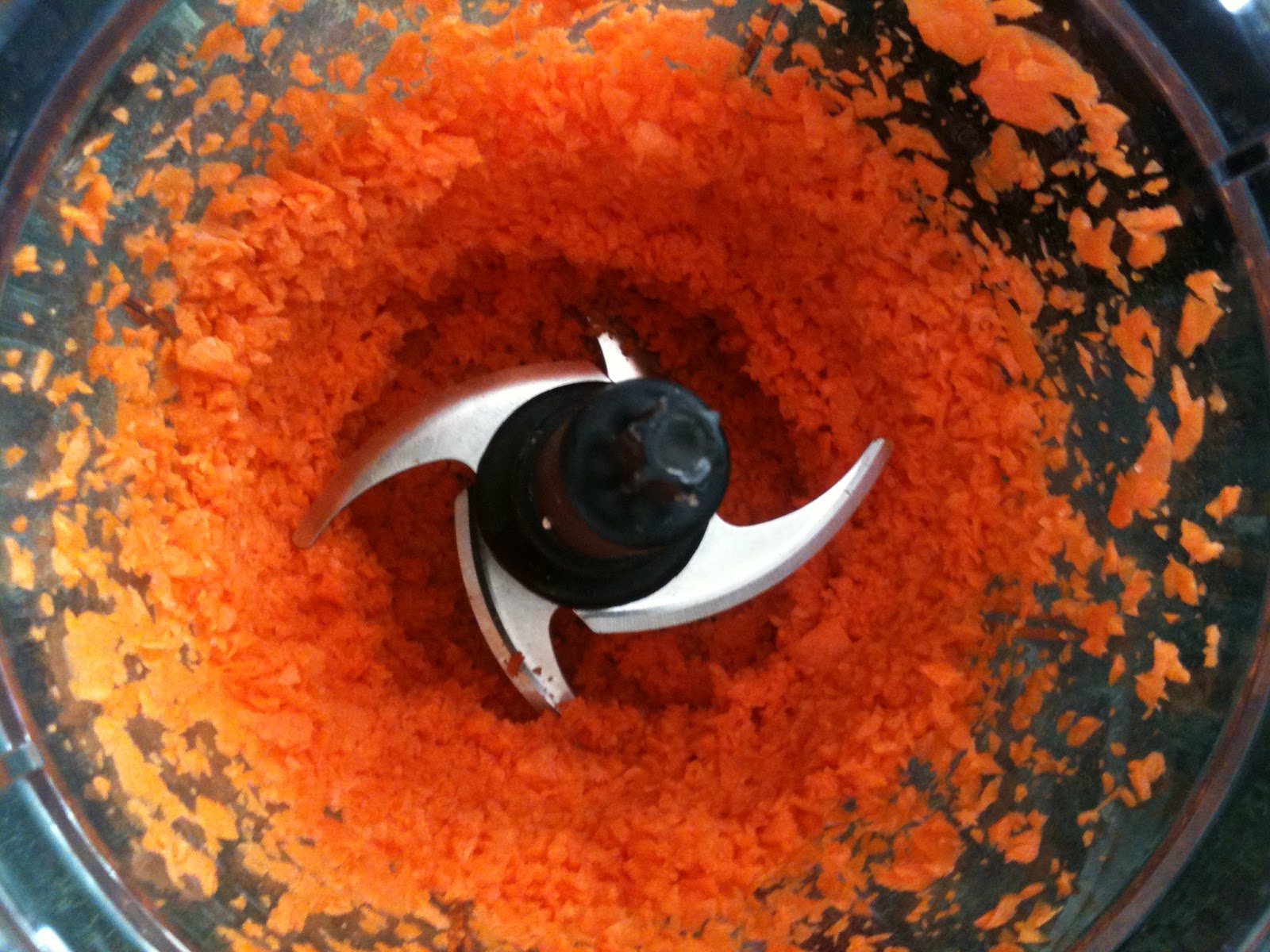 Honey's Creative Homemaking Carrot and Apple Juice Using A Kitchen Ninja