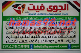 وظائف خالية من جريدة الاهرام الجمعة 09-10-2015 %25D8%25A7%25D9%2584%25D8%25AC%25D9%2588%25D9%258A%2B%25D9%2581%25D9%258A%25D8%25AA