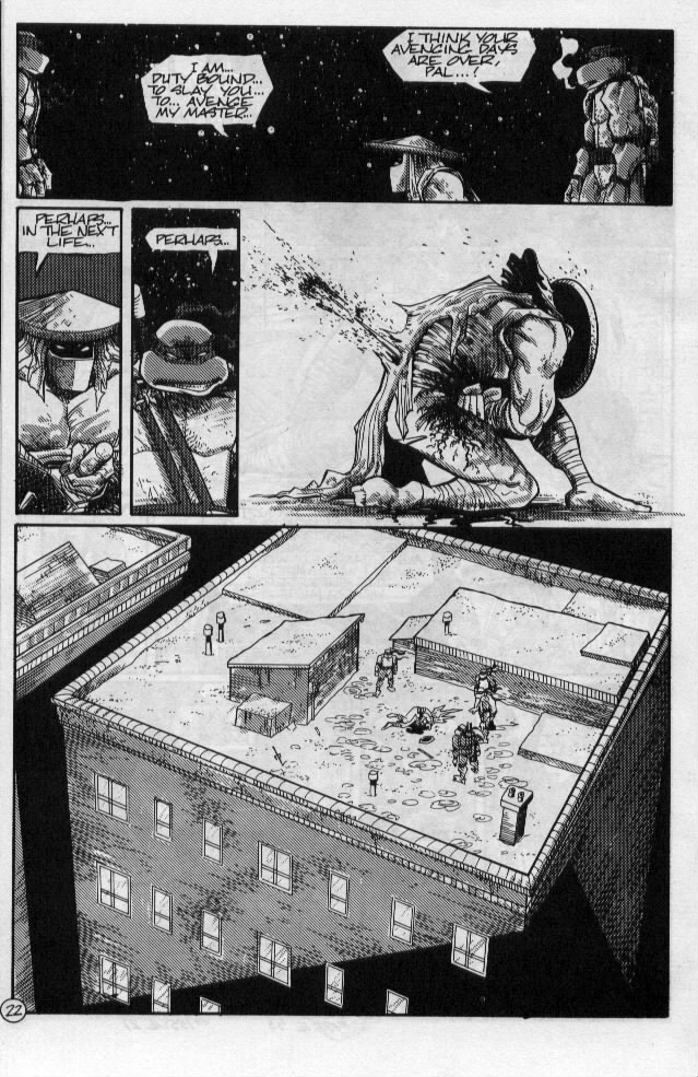 Teenage Mutant Ninja Turtles (1984) Issue #55 #55 - English 25