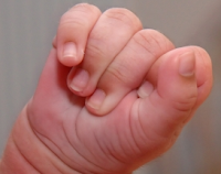 Baby hand. Stock Photo credit: code1name