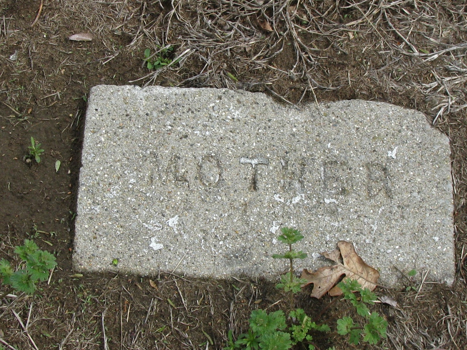 A Grave Interest What Do Cement Grave Markers Tell Us?