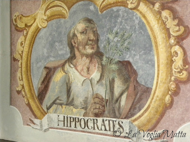 Ippocrate