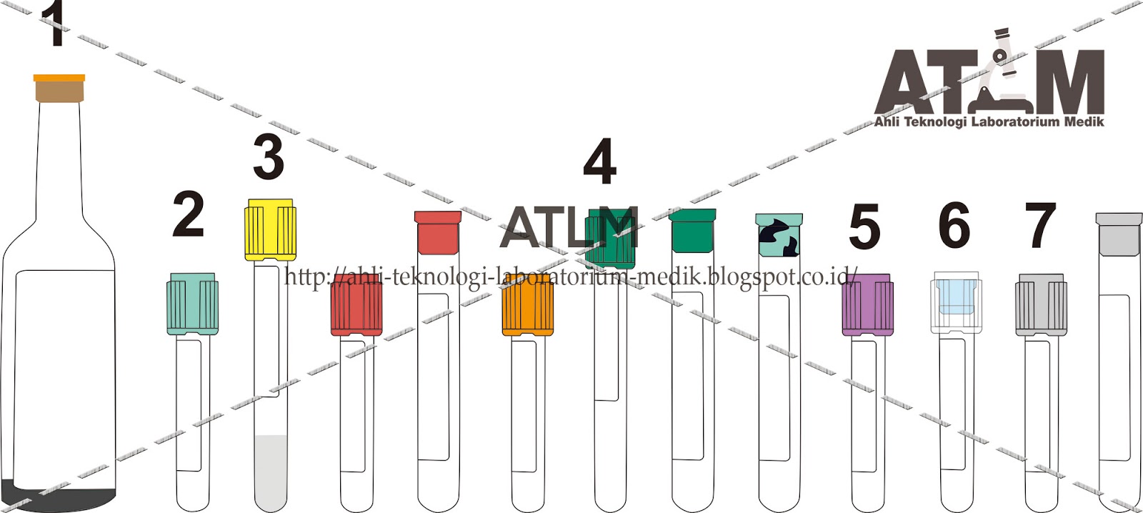 Urutan Memasukkan Sampel Darah ke Dalam Tabung Vakum (Vacutainer) — ATLM