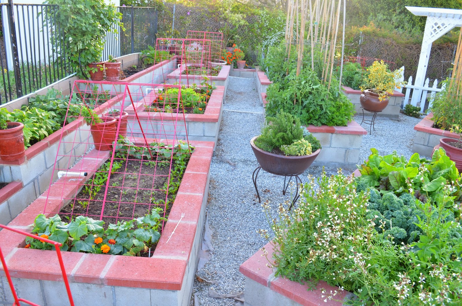 Entertaining From an Ethnic Indian Kitchen Garden tour 2 