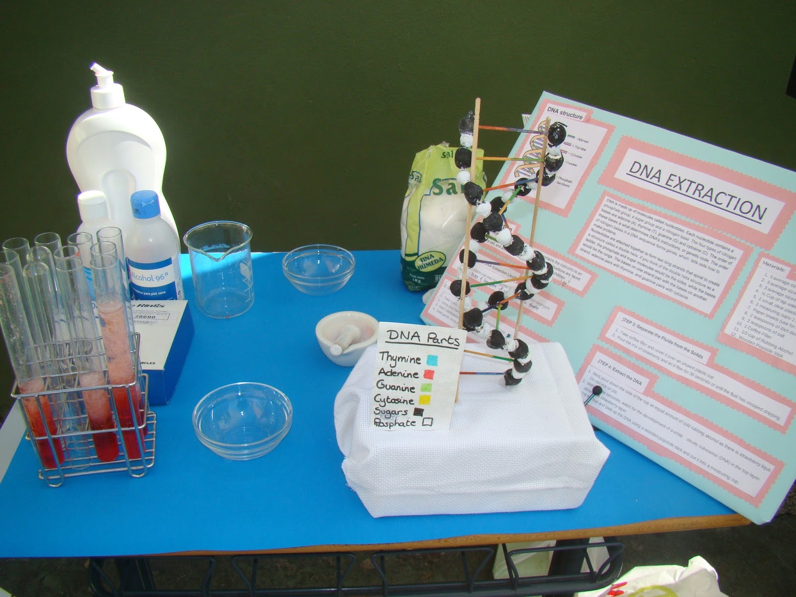 Science Magazine: DNA Extraction From Strawberries- Science fair