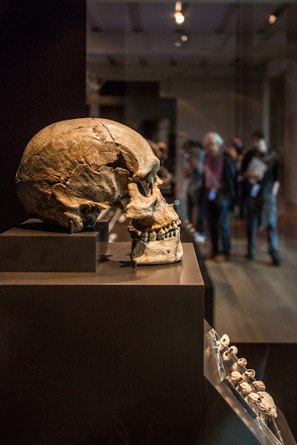 Neues Museum :: Canon EOS5D MkIII | ISO3200 | Canon 17-40@35mm | f/4.0 | 1/40s