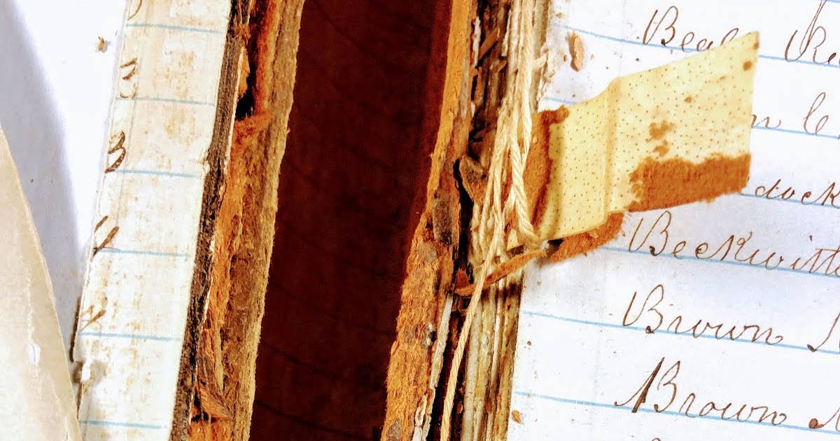 Genealogy's Star Shoe Boxes of Old Letters, Photos and Papers Part Two