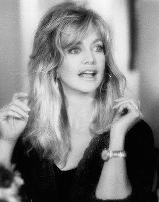 Housesitter 1992 Goldie Hawn Image 1