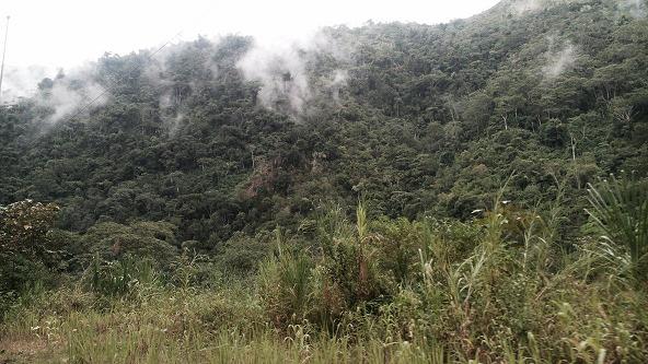 Perulia Von Inkas Lamas Und Anderen Kuriositaten